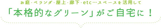 自宅で本格的なグリーンでのゴルフの練習ができます