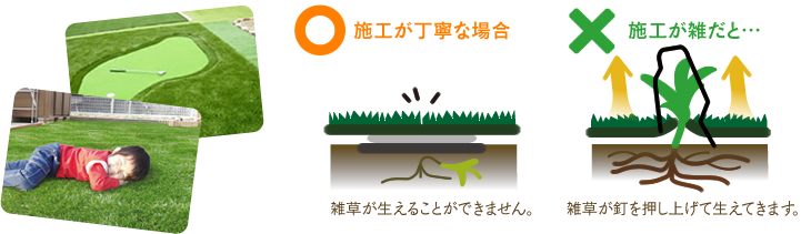 下地が土であれば、草が生える可能性があります！